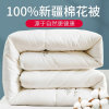 百年新业天然新疆棉花被 春夏秋冬适用150*200cm(对公)