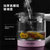 韩国现代（HYUNDAI）养生壶家用 多功能高硼硅电水壶 花茶壶QC-YS1670第6张高清大图