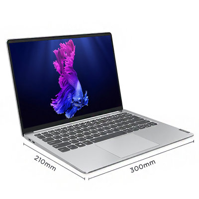 联想(Lenovo)小新Pro13 2020款 13.3英寸轻薄全面屏笔记本电脑(4核i5-10210U 16G 512GSSD MX350 2G显卡 高色域)银色