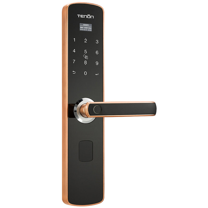 亚太天能指纹锁e3红古铜