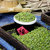 岗子峪有机绿豆420g  产自黑龙江原粮种植基地第3张高清大图