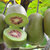 鲜有机荟凉都红心猕猴桃12个单果50g-70g第4张高清大图