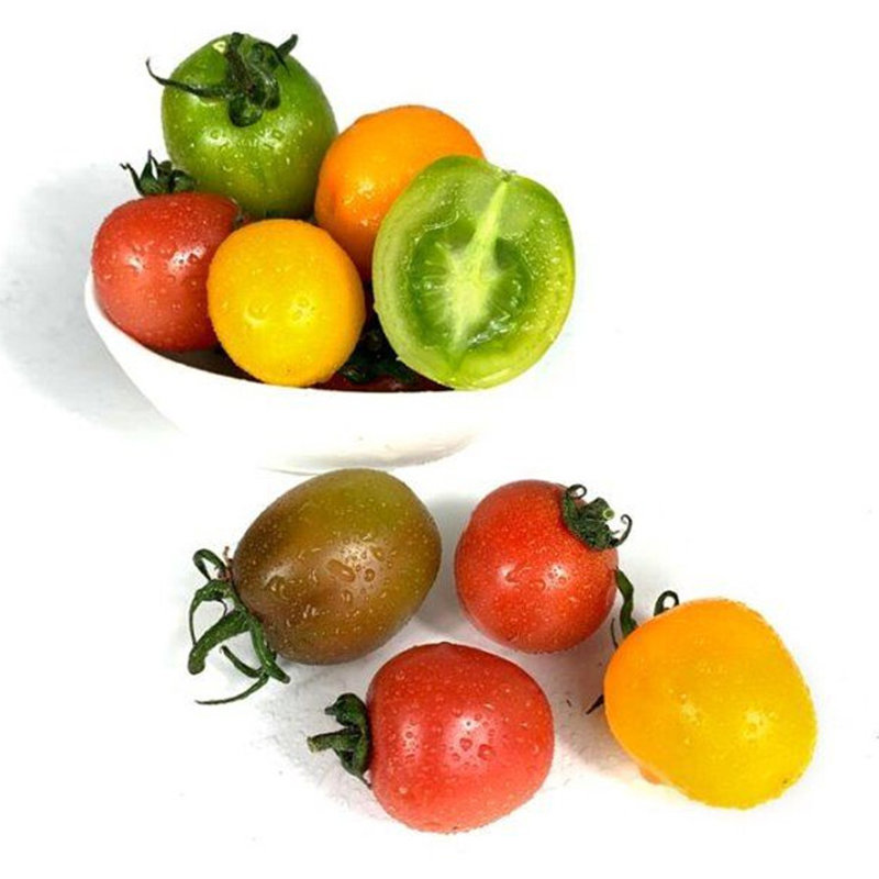 籼美小西红柿五彩小番茄产地直供健康轻食新鲜蔬菜500g4盒