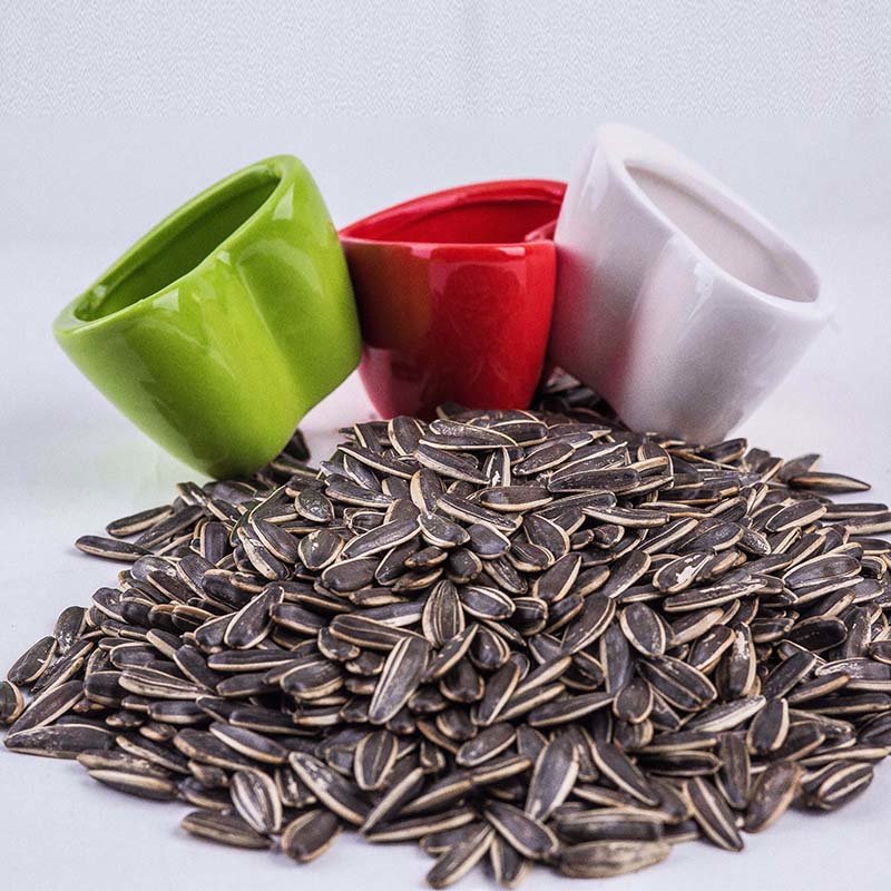 疯嗑melonseeds原味葵花籽180g