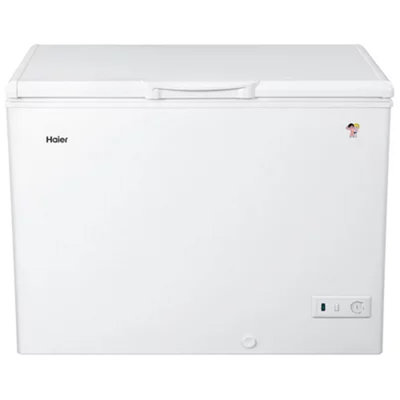 海尔 (Haier) BC/BD-318HD 318升 商用冰箱 卧式大冷冻柜 白色